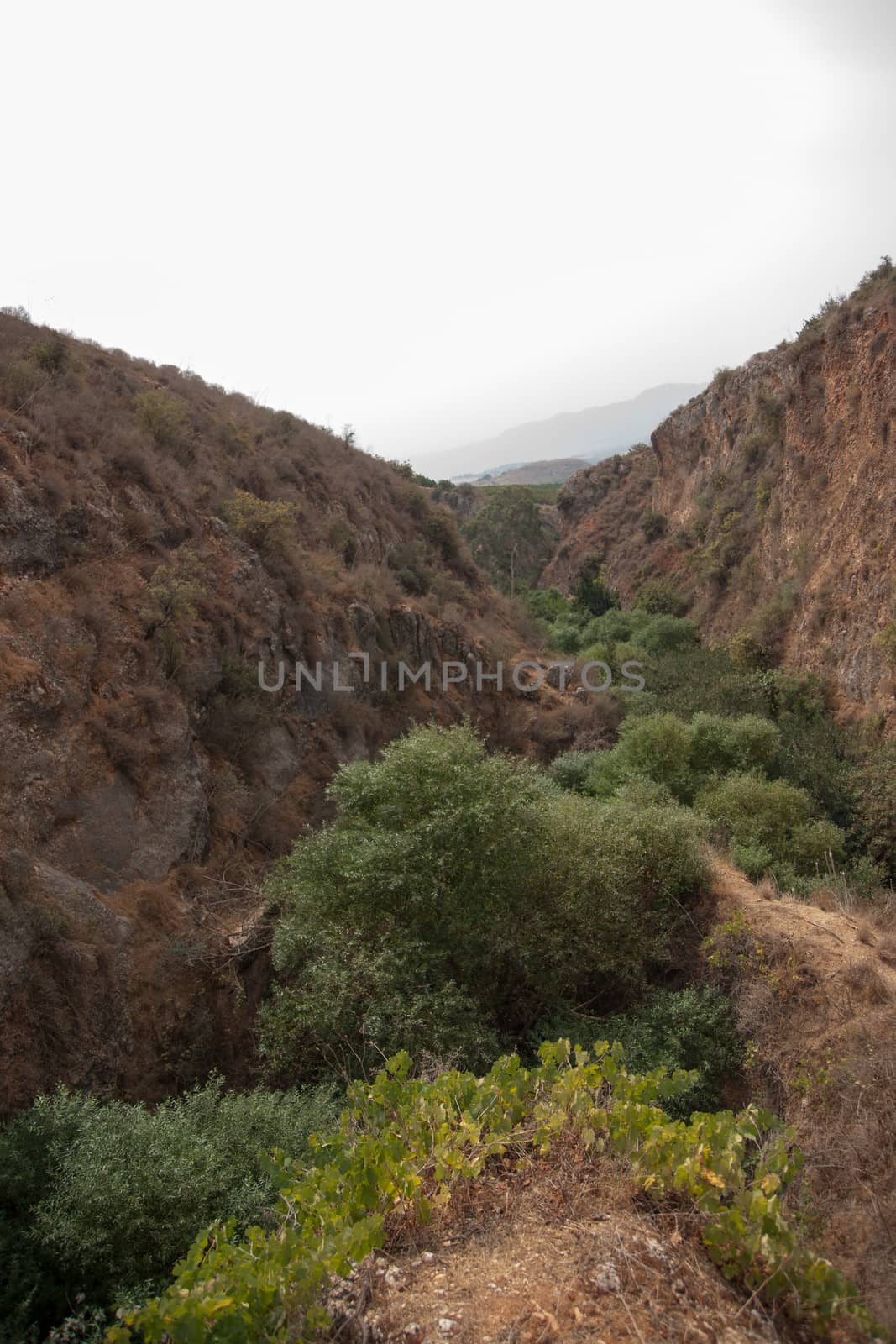 hiking in north galilee natural reserve in israel