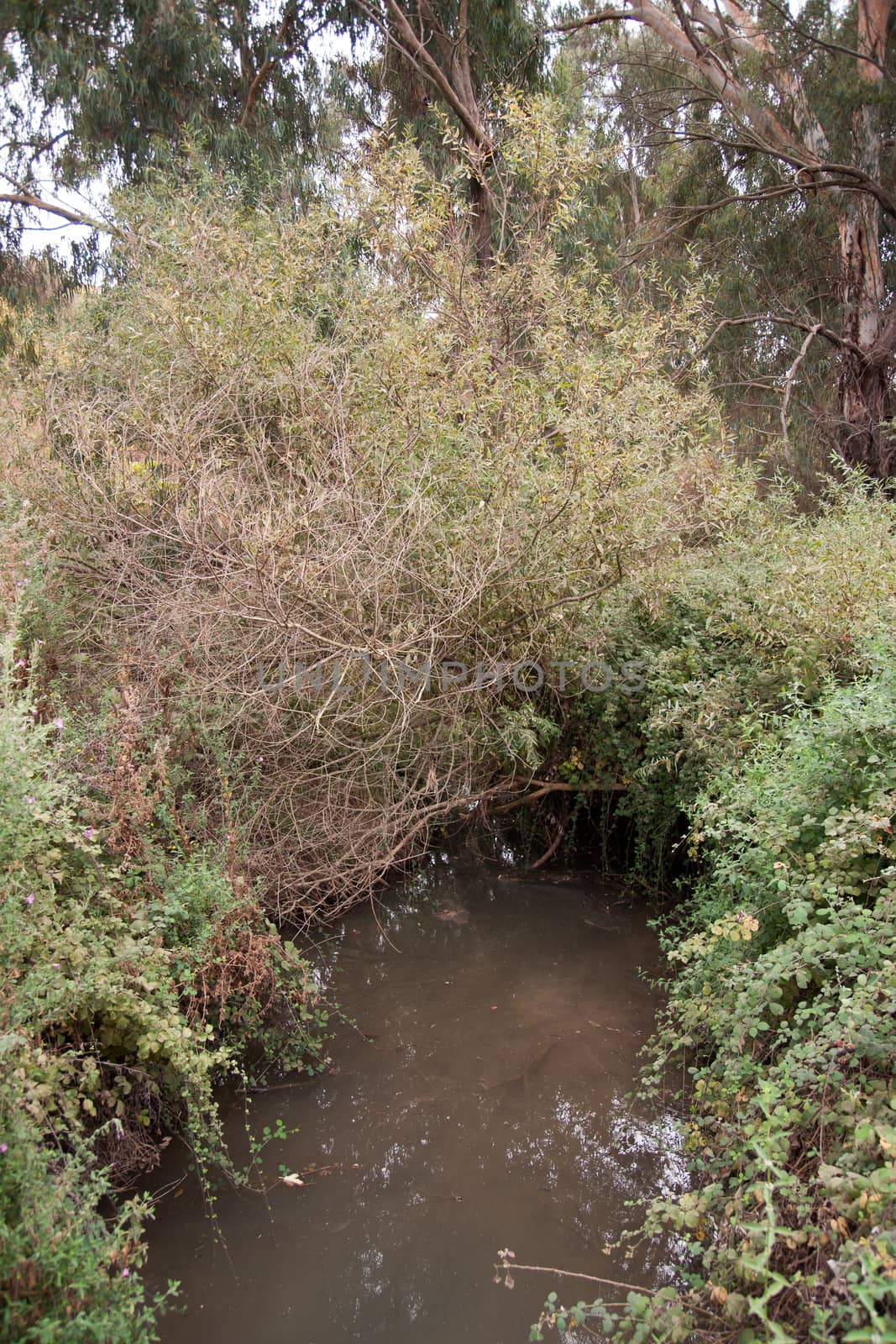 hiking in north galilee natural reserve in israel