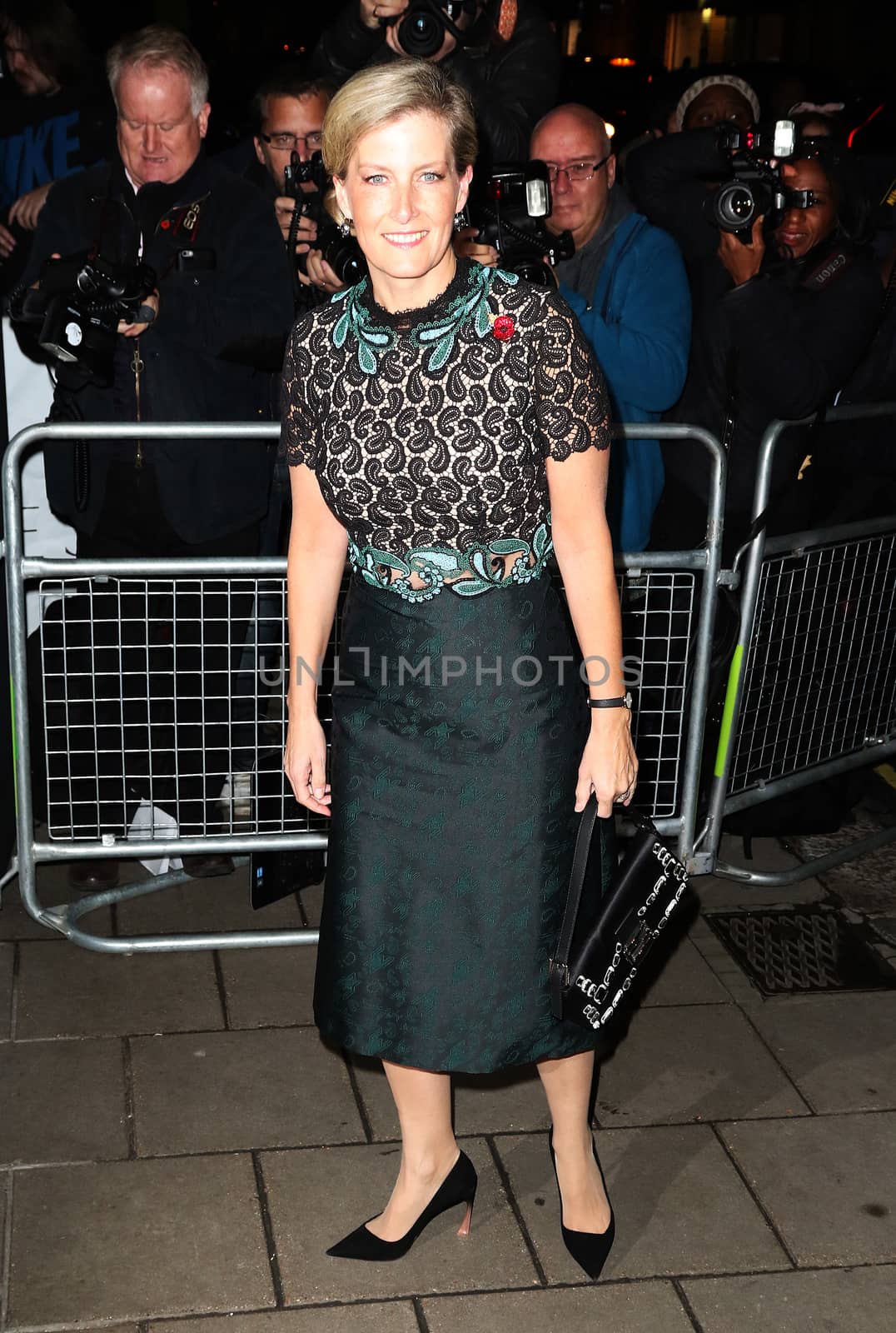 UNITED KINGDOM, London: Sophie Countess Of Wessex poses during the Harper's Bazaar Women of the Year Awards at Claridge's, in London, on November 3, 2015.