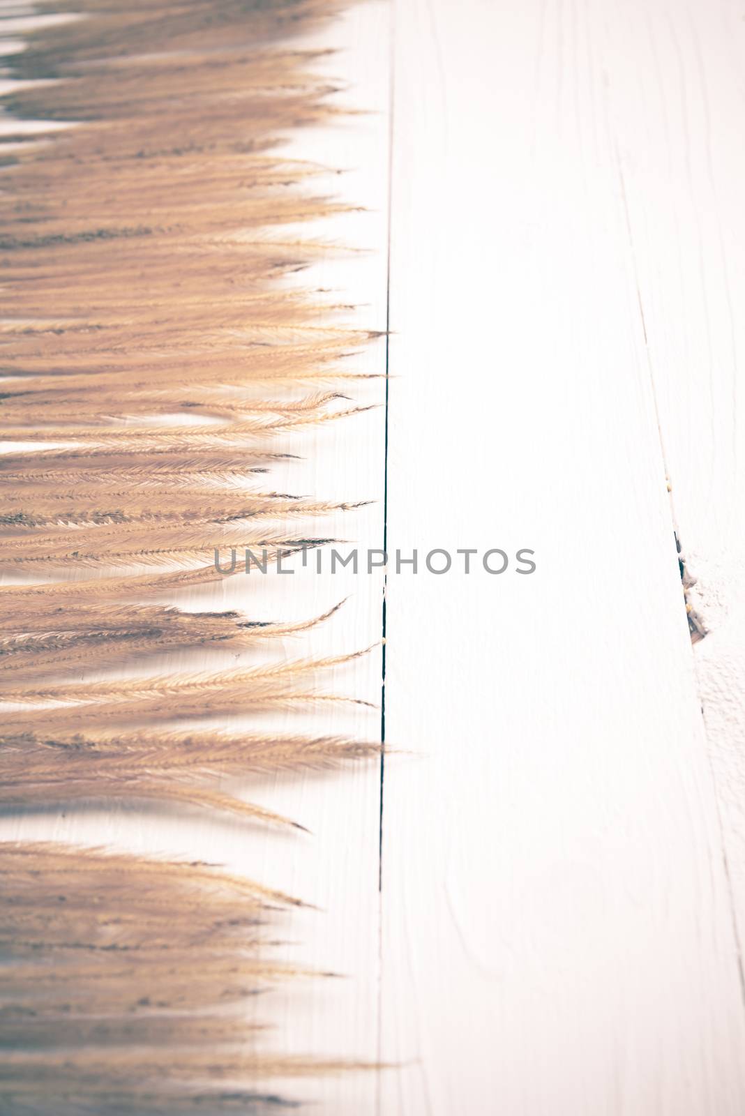 wheat on white table vintage style