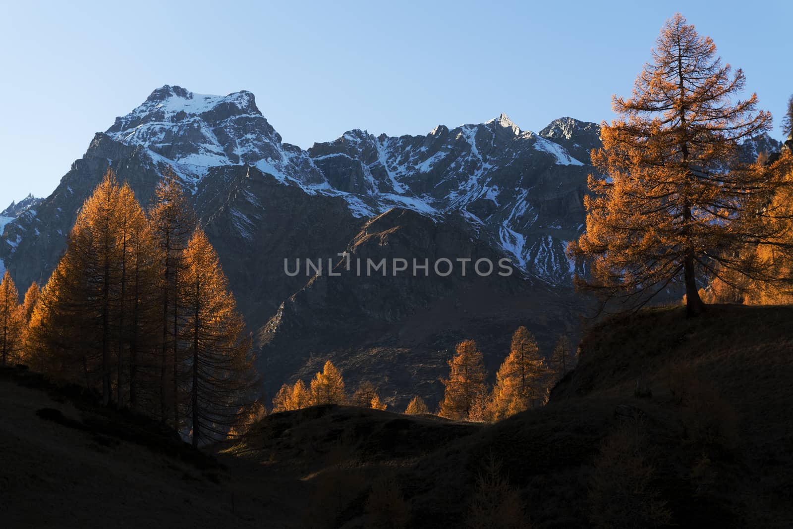 Autumn colors at the Devero Alp by Mdc1970