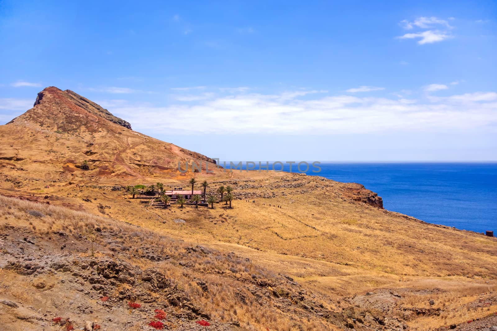 Mountainous landscape / lonely house / ranch with palms - peninsula Ponta de Sao Lourenco - east of Madeira
