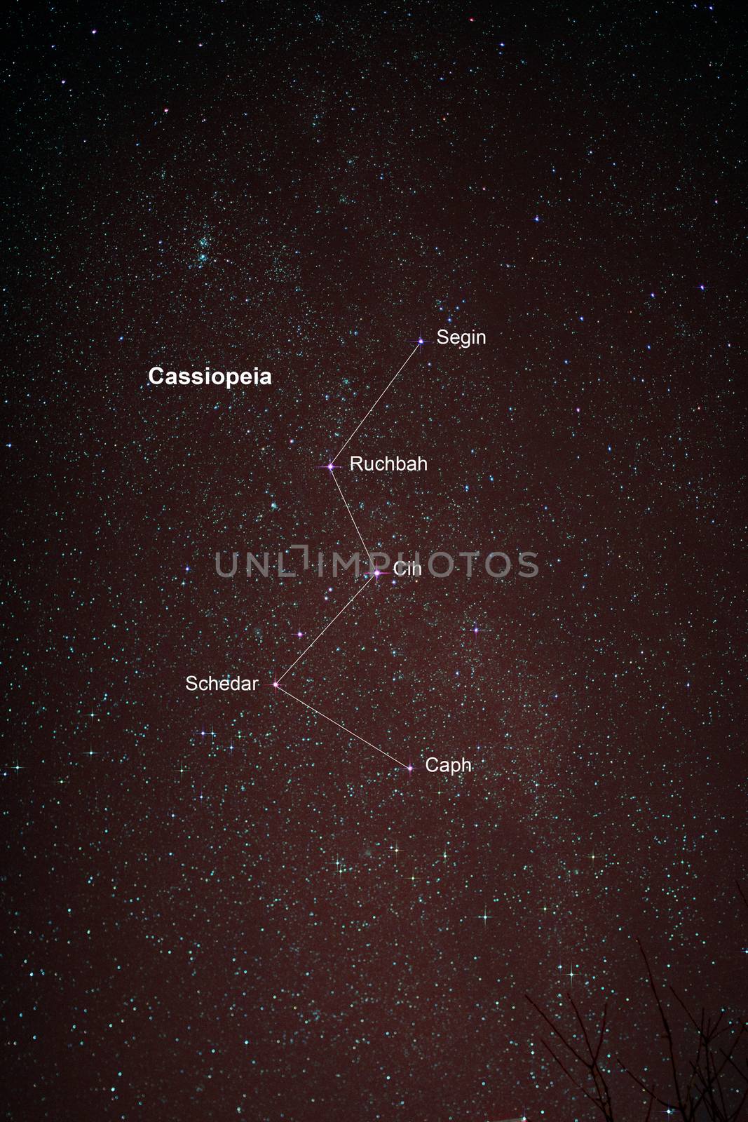 Astro Photo: Starfield with Cassiopeia and Milky Way