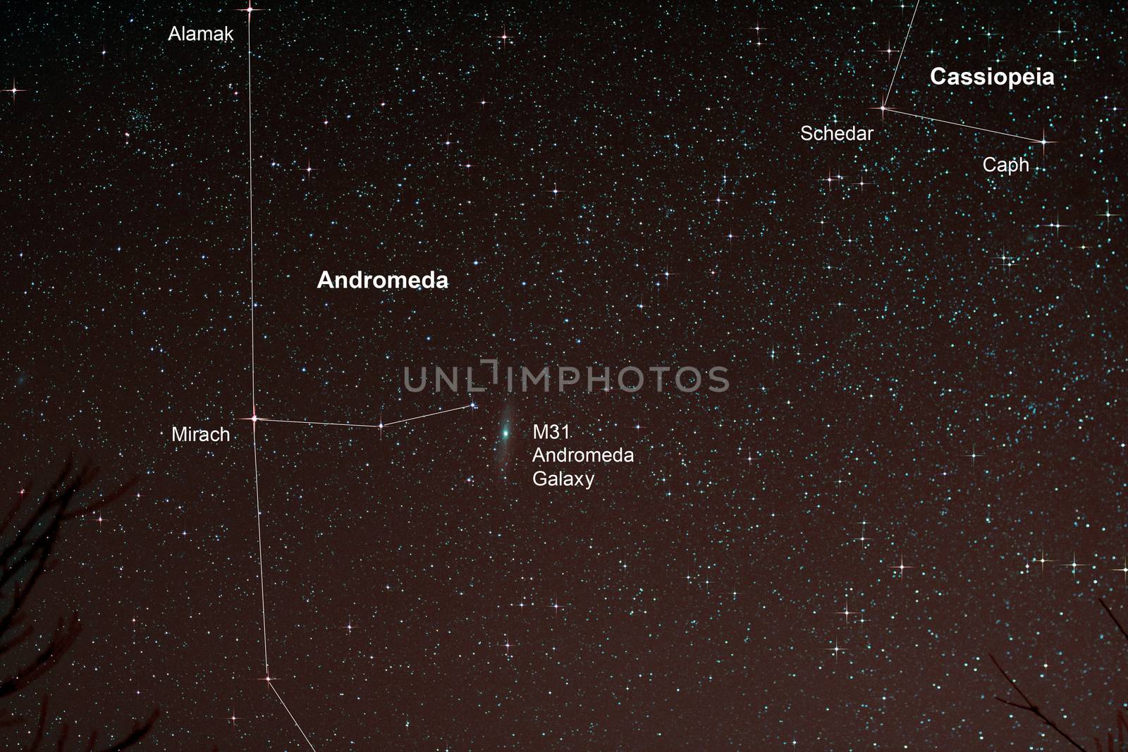 Astro Photo: Starfield with Andromeda Galaxy