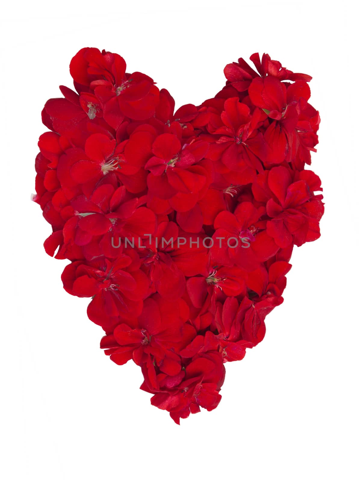 Heart of flowers ,shape on white background