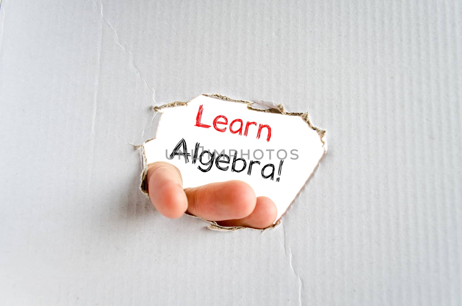 Learn algebra text concept isolated over white background
