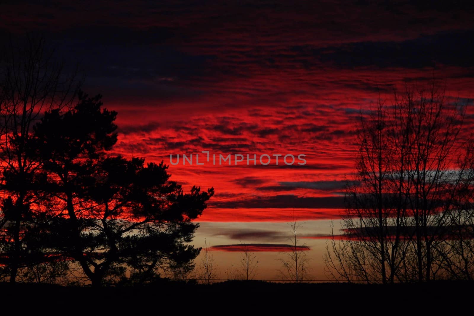 Red sky