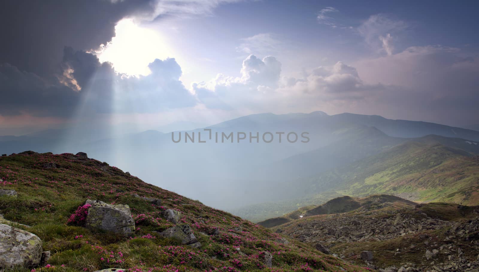 evening mountain plateau landscape (Carpathian, Ukraine)