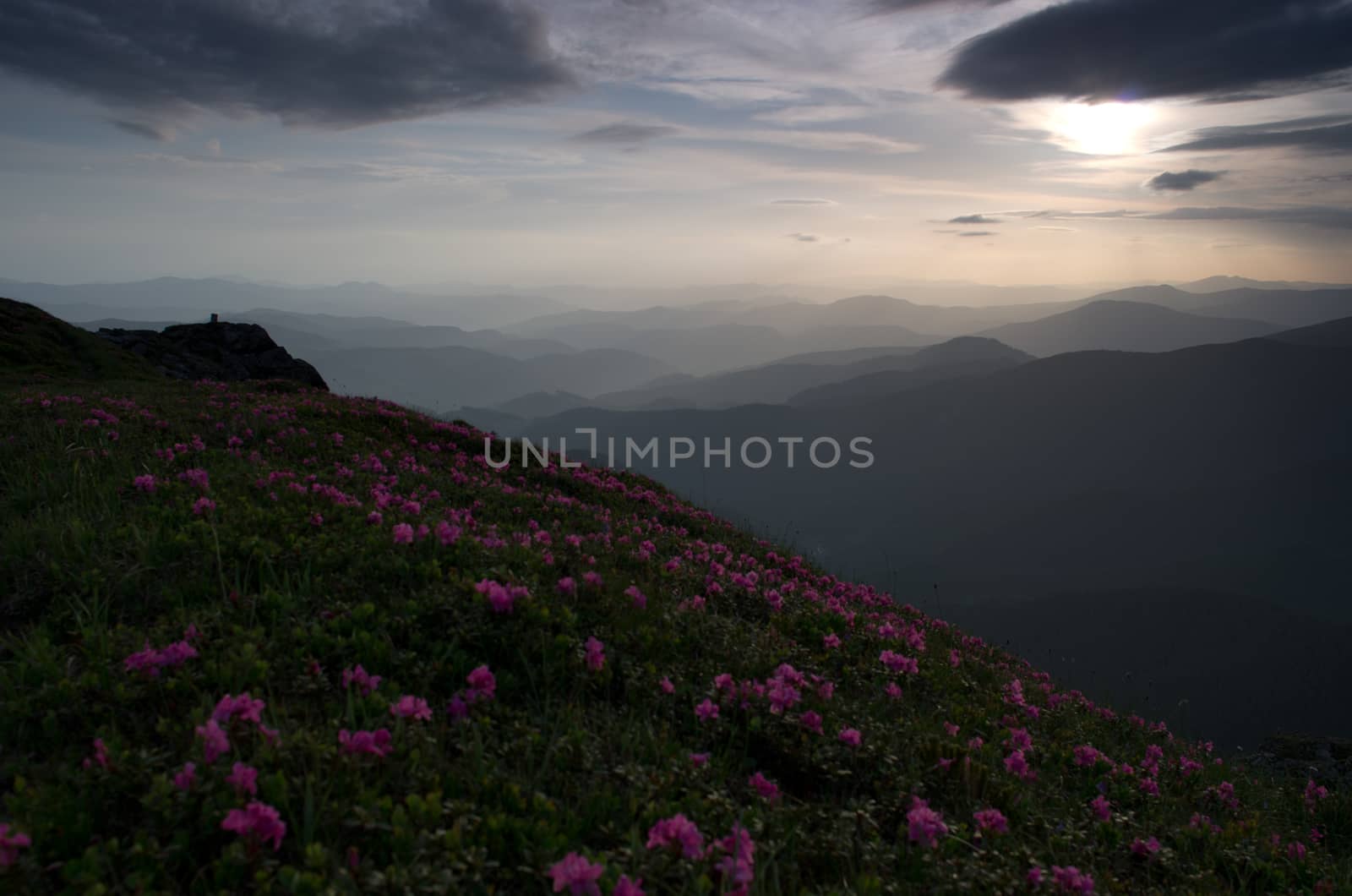 evening mountain plateau landscape (Carpathian, Ukraine)