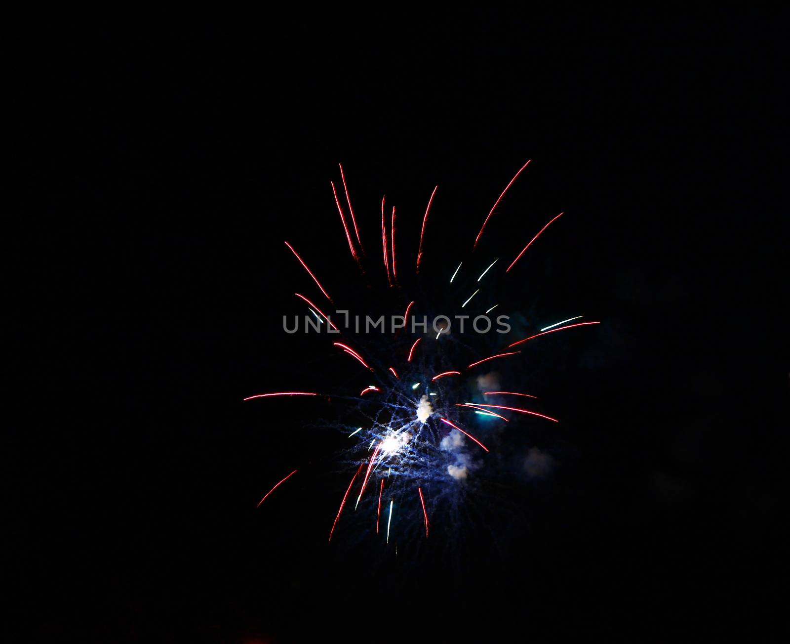 Celebration firework in the black night sky by scullery