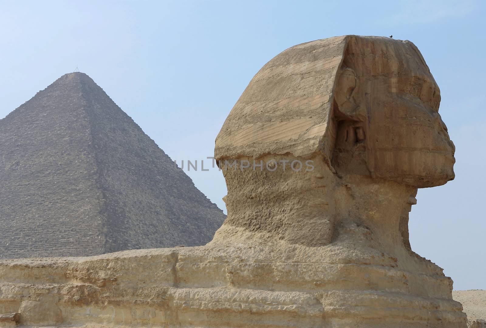 Pyramids In Desert Of Egypt And Sphinx In Giza by scullery