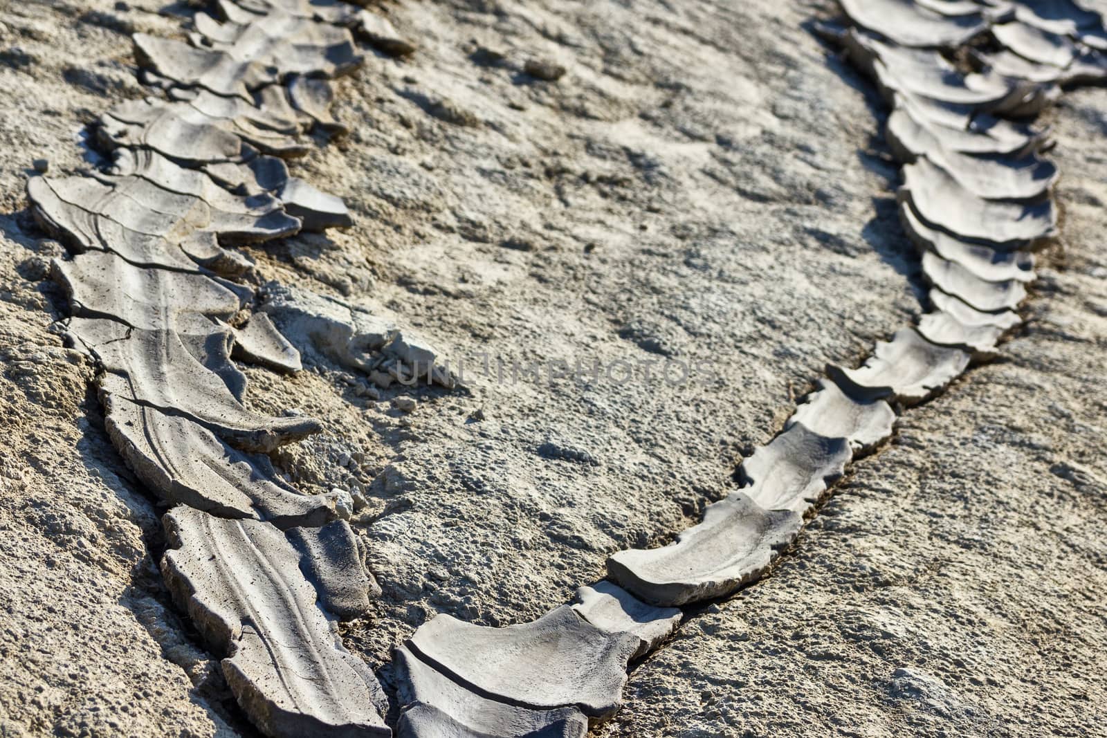 Texture of dried river mud in Berca Buzau Romania