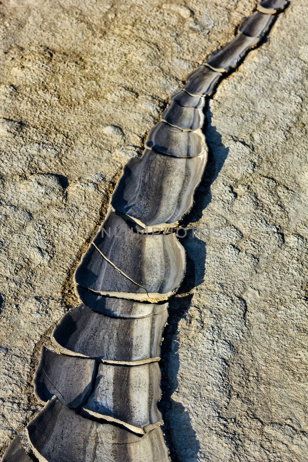 Texture of dried river mud in Berca Buzau Romania