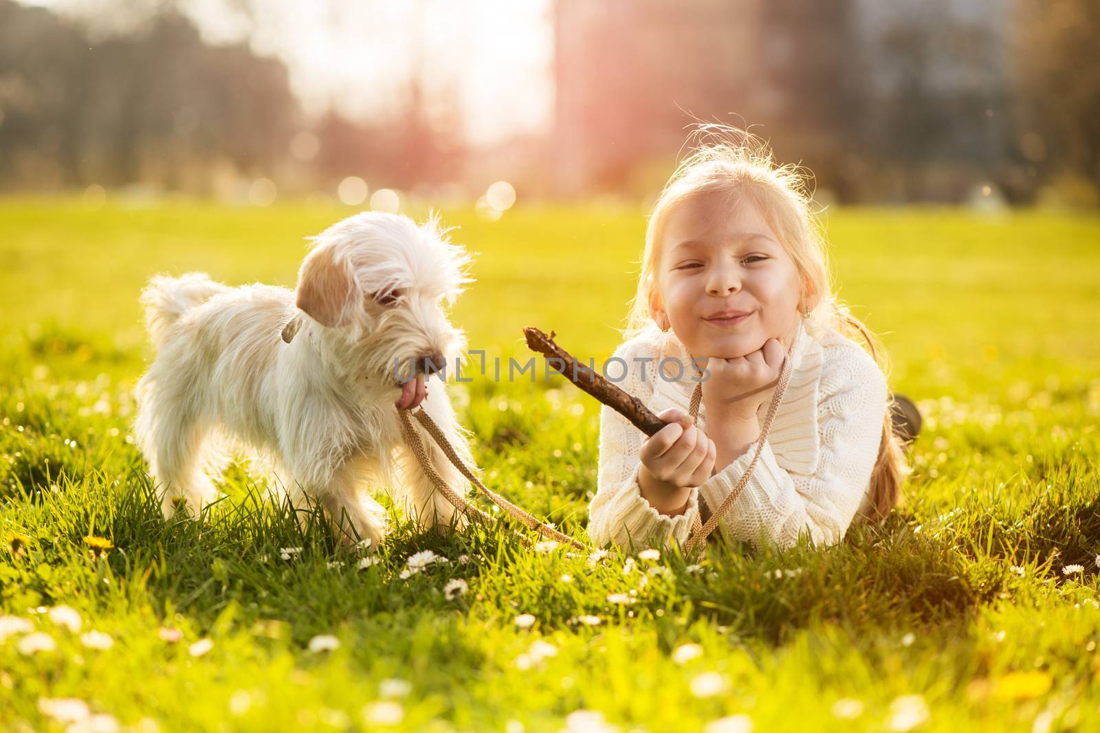 Little girl playing with her puppy dog in the park