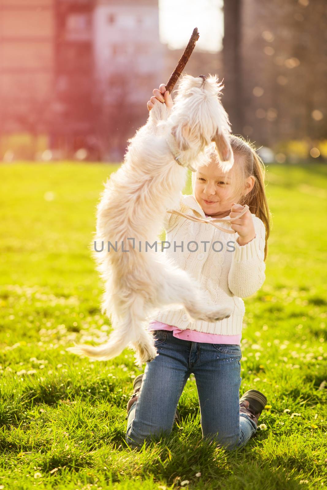 Little girl playing with her puppy dog in the park