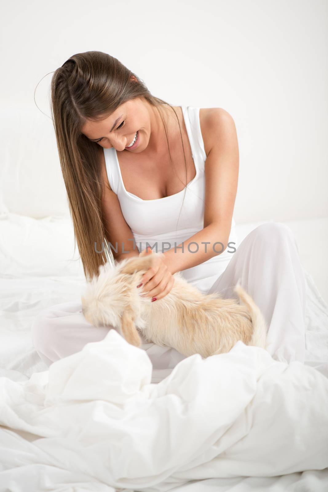 Young beautiful woman and her dog playing in bed