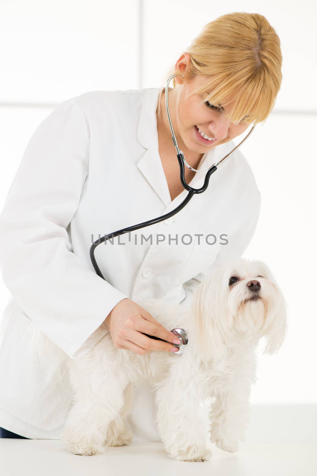 At The Veterinary by MilanMarkovic78