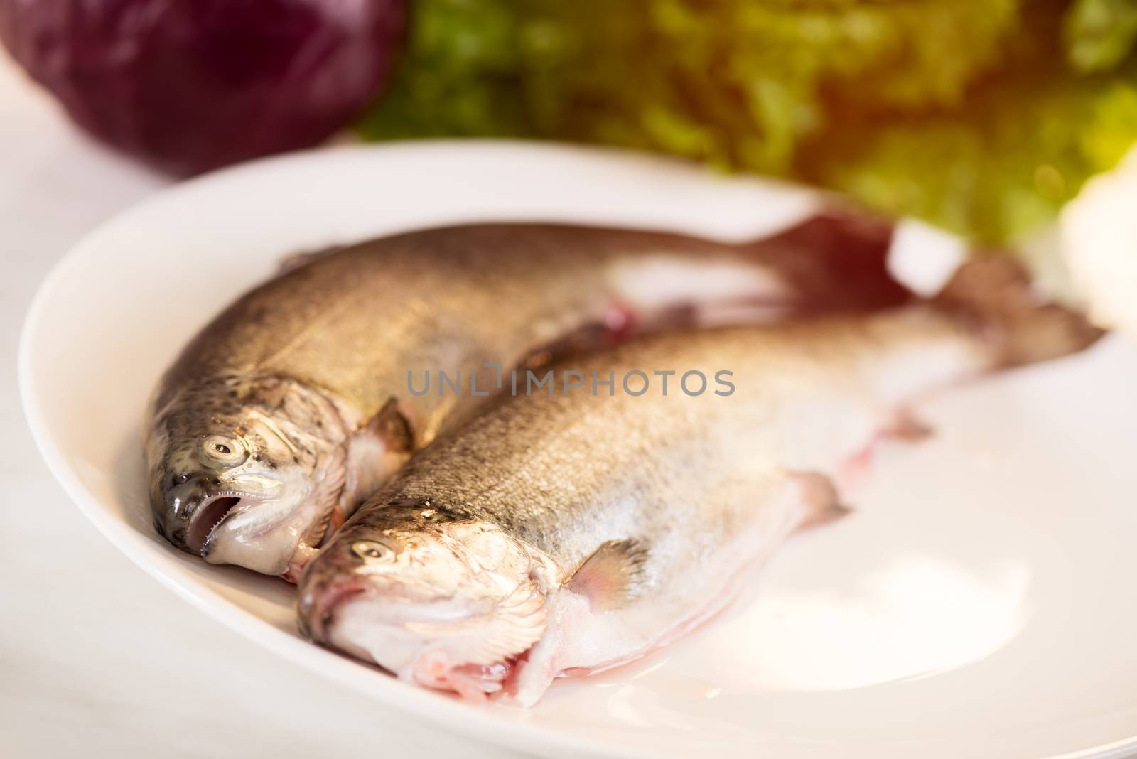 Fresh trout by MilanMarkovic78