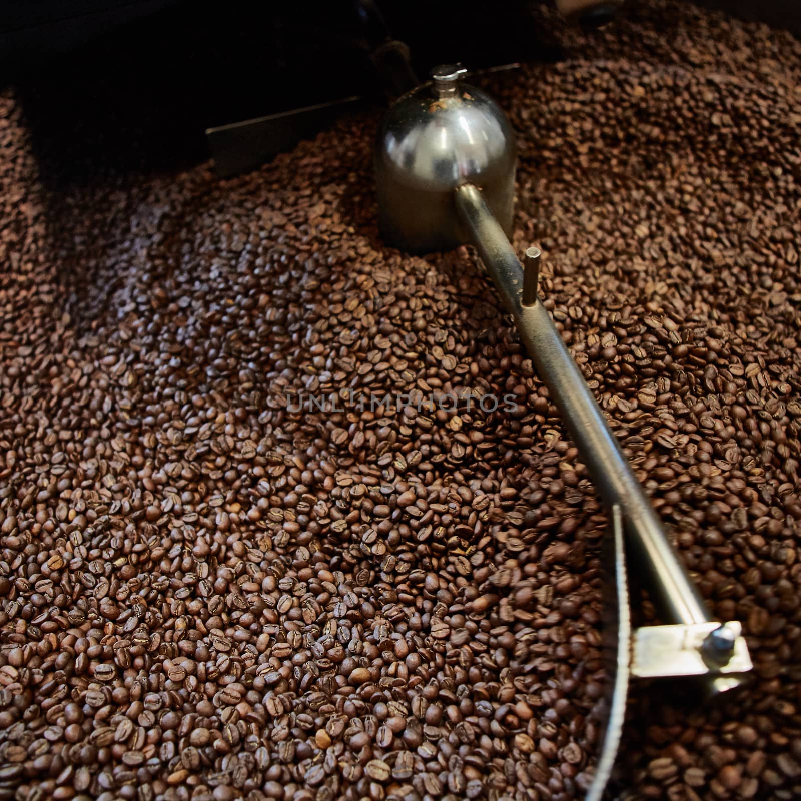 Freshly roasted coffee beans by sarymsakov