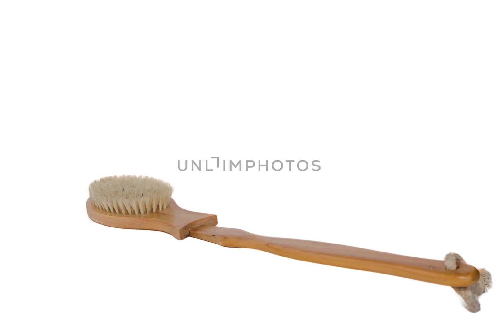 Scrub brush back on the white background.