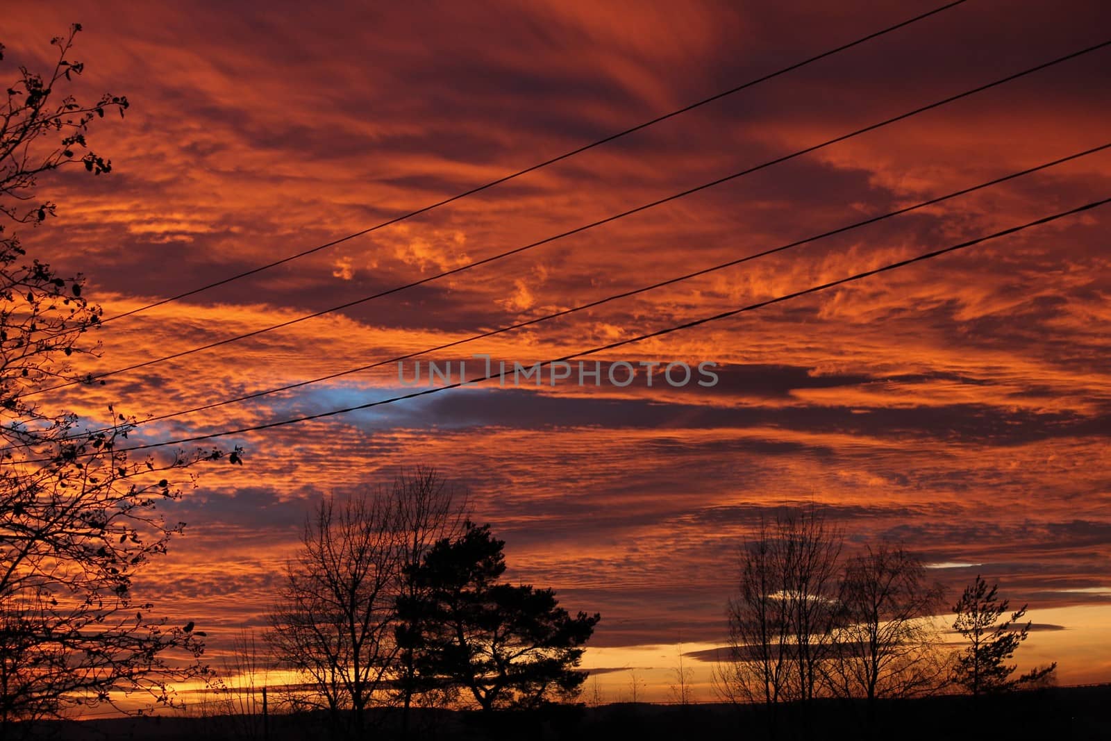 Sky in fire