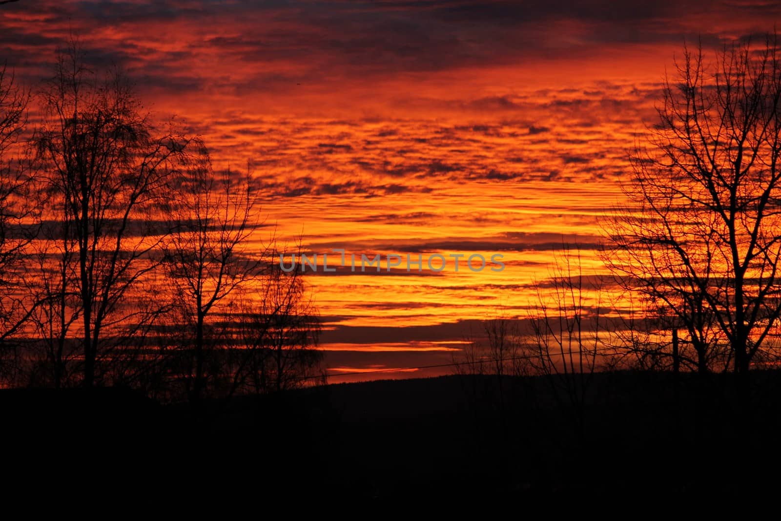 Orange sky