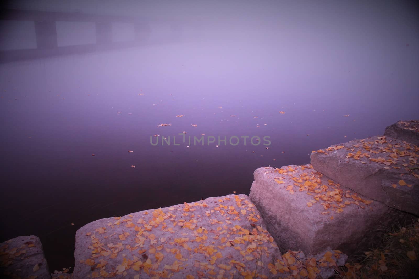 Bridge behind fog.