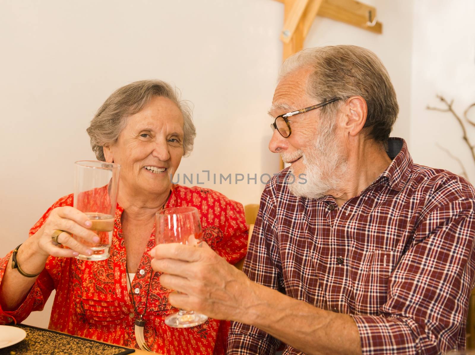 Old couple toasting and looking happy at a restaurant