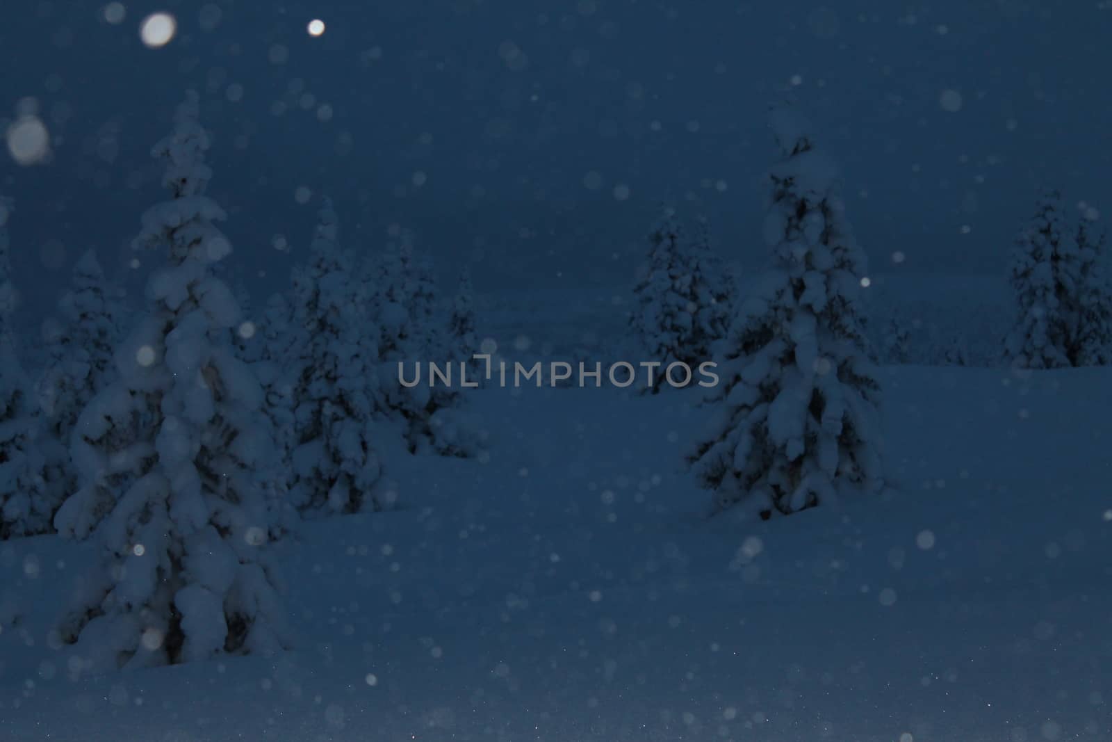 blue light, snowing
