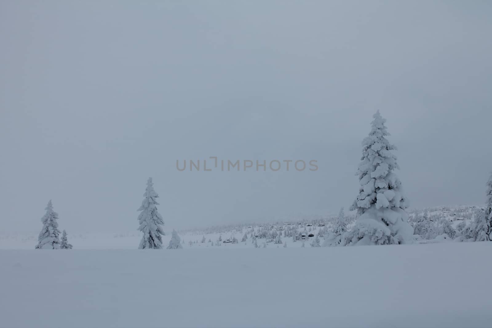 Winter landscape in early morning