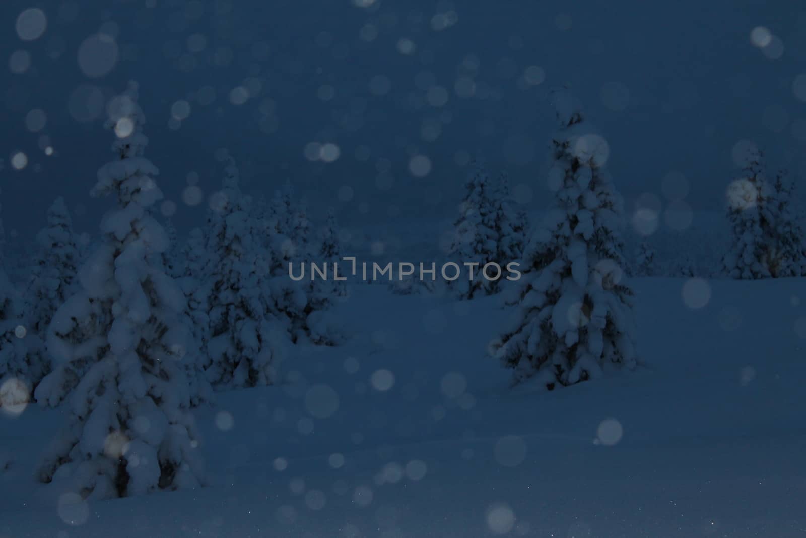 evening Picture, snow in the blue hour