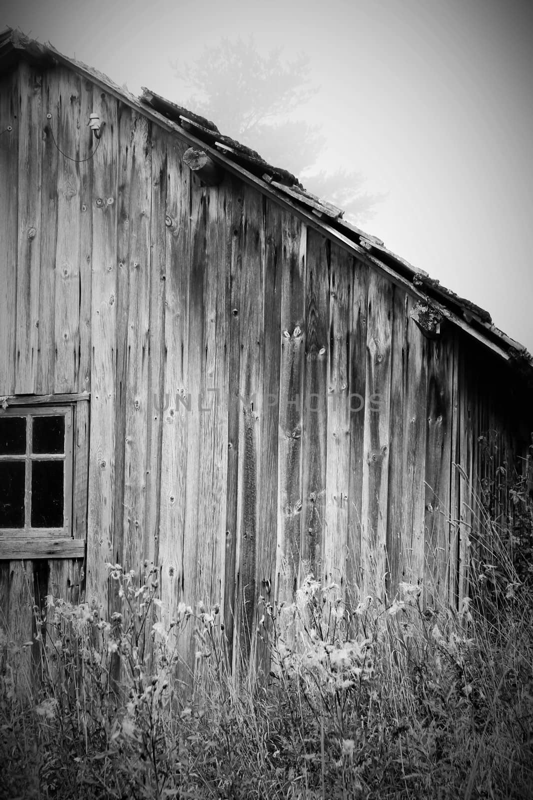 Old cottage in black/white