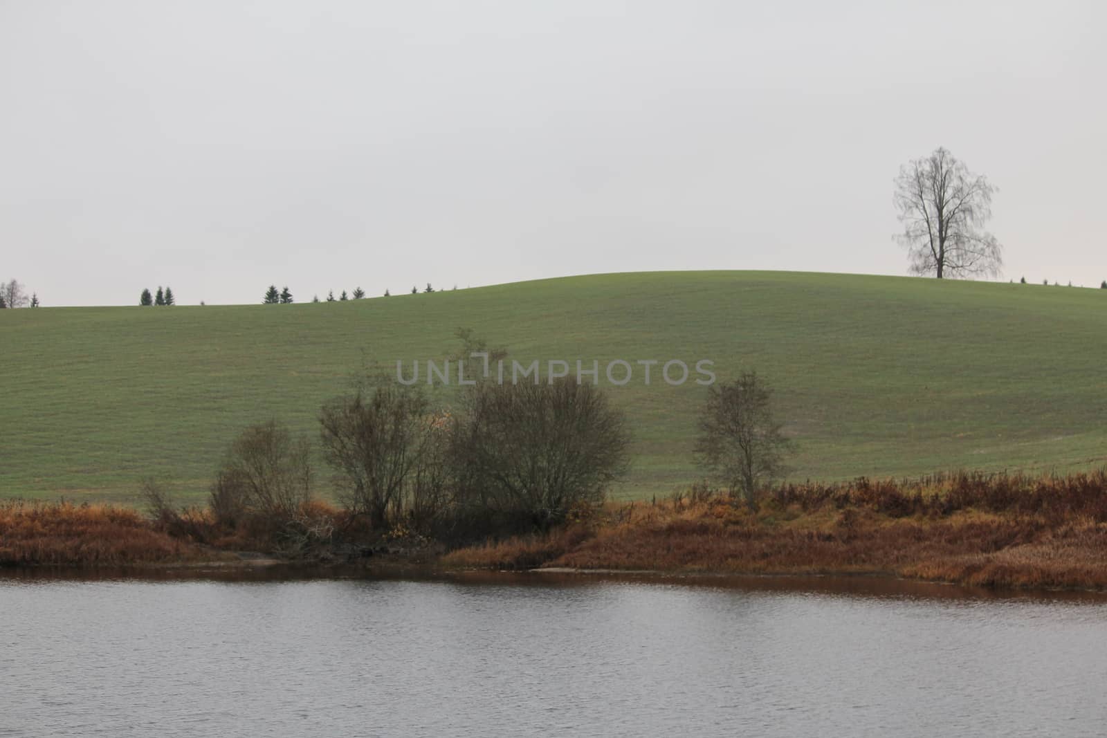 Water and trees, green hill in fall