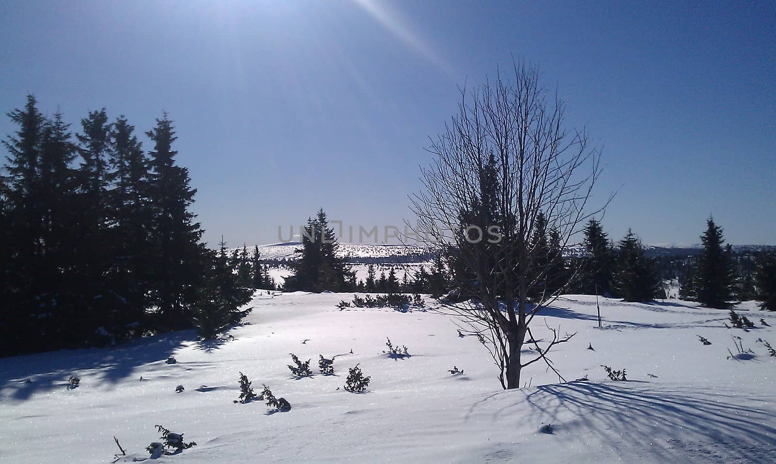 Cold sunny day in Norway, in the mountains