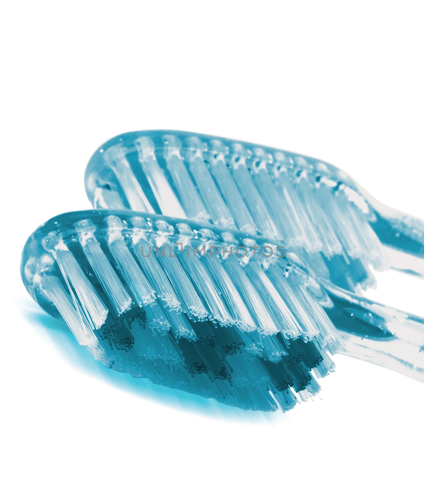 Two Transparent Toothbrushes isolated on white background. Monochrome Turquoise View