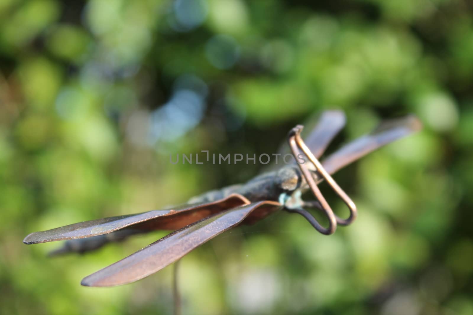 brass dragonfly, in garden