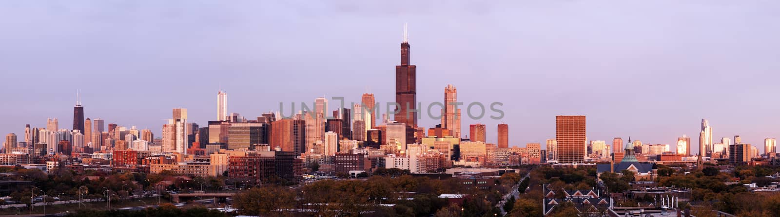 Panorama of Chicago at sunset  by benkrut