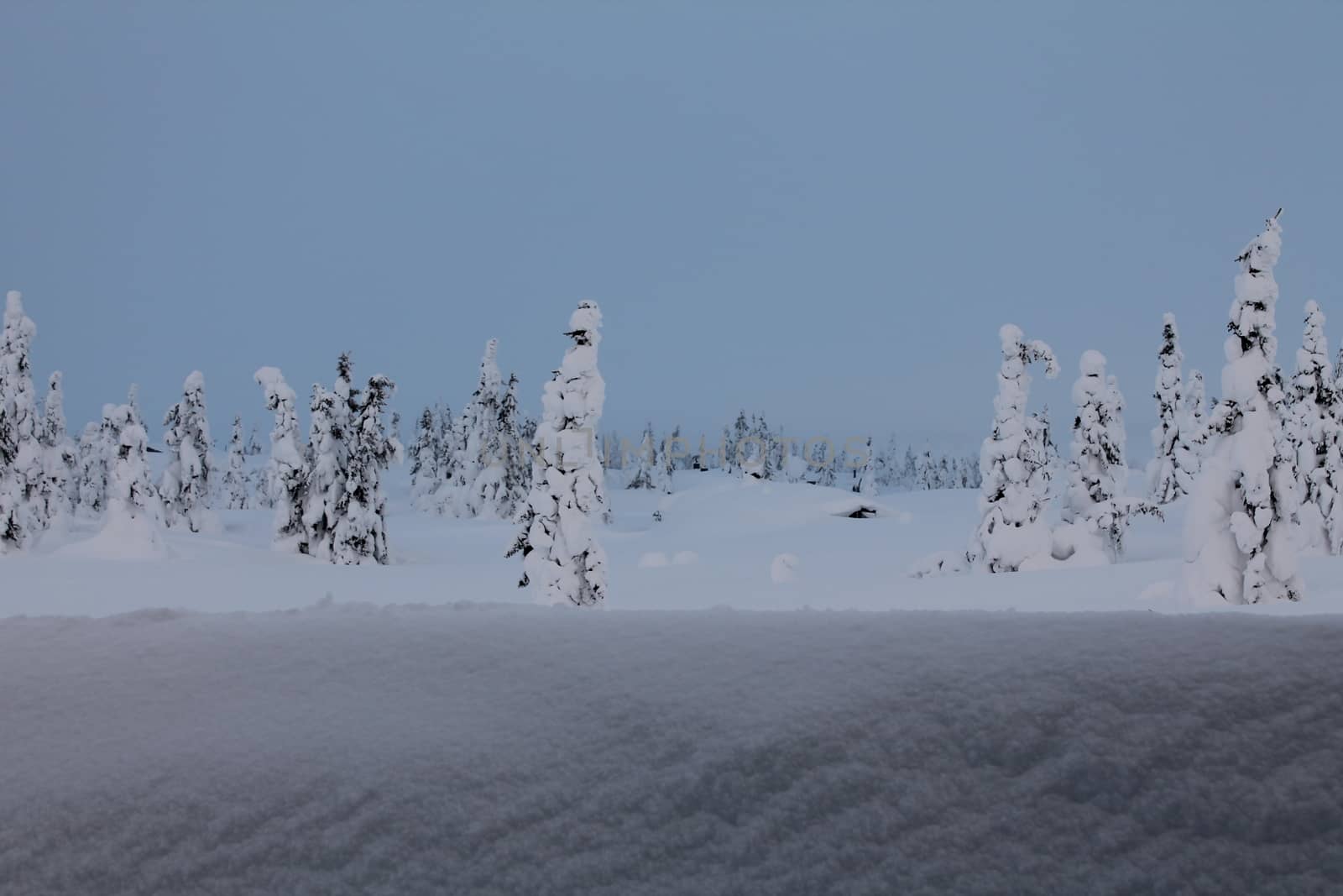Winter landscape in Norway