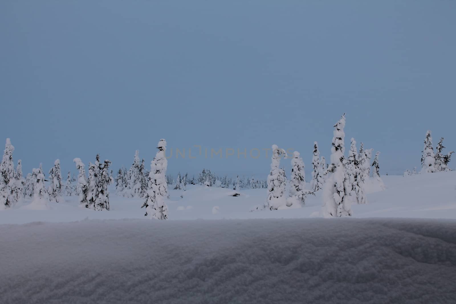 Winter landscape in Norway