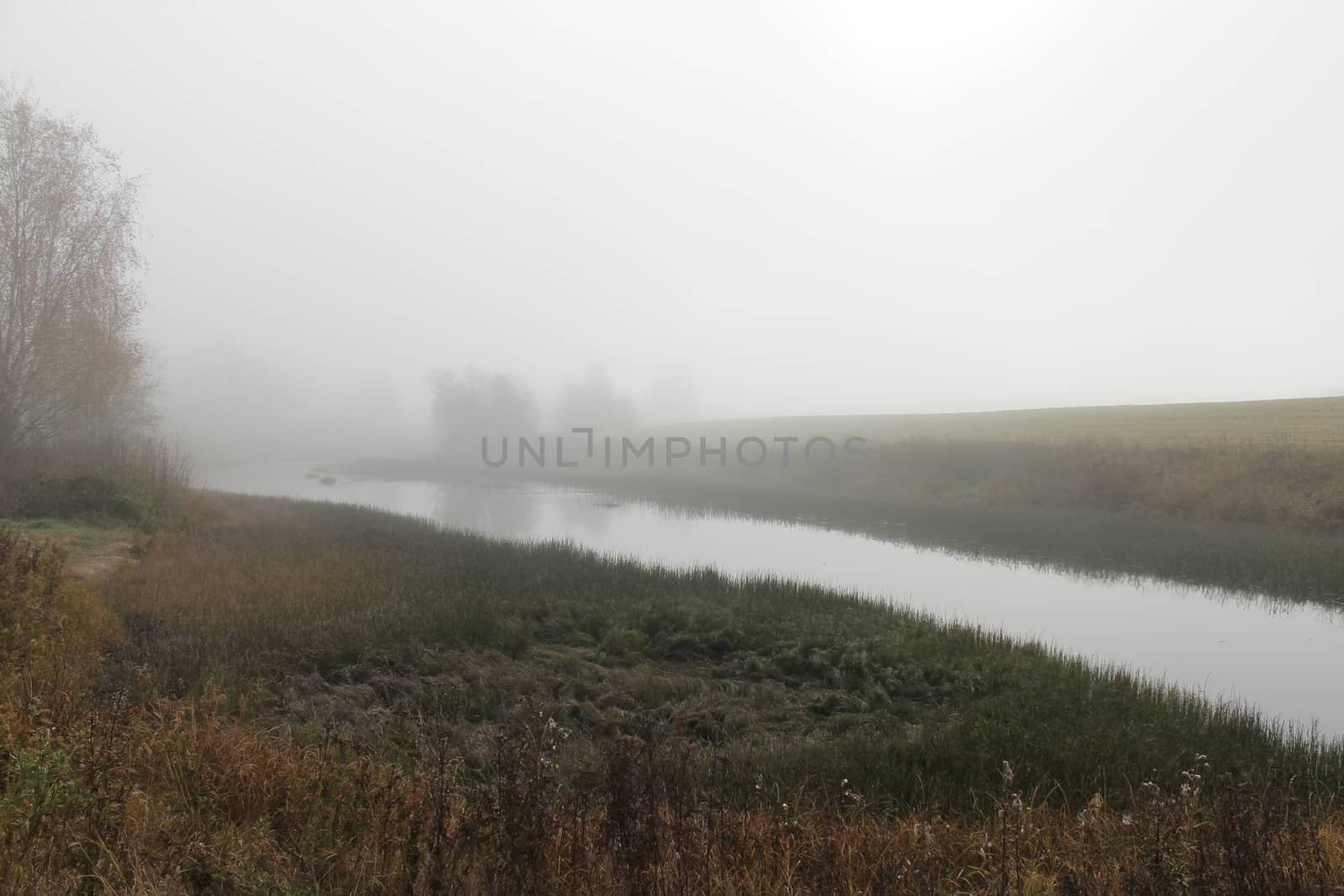 River in morning fog