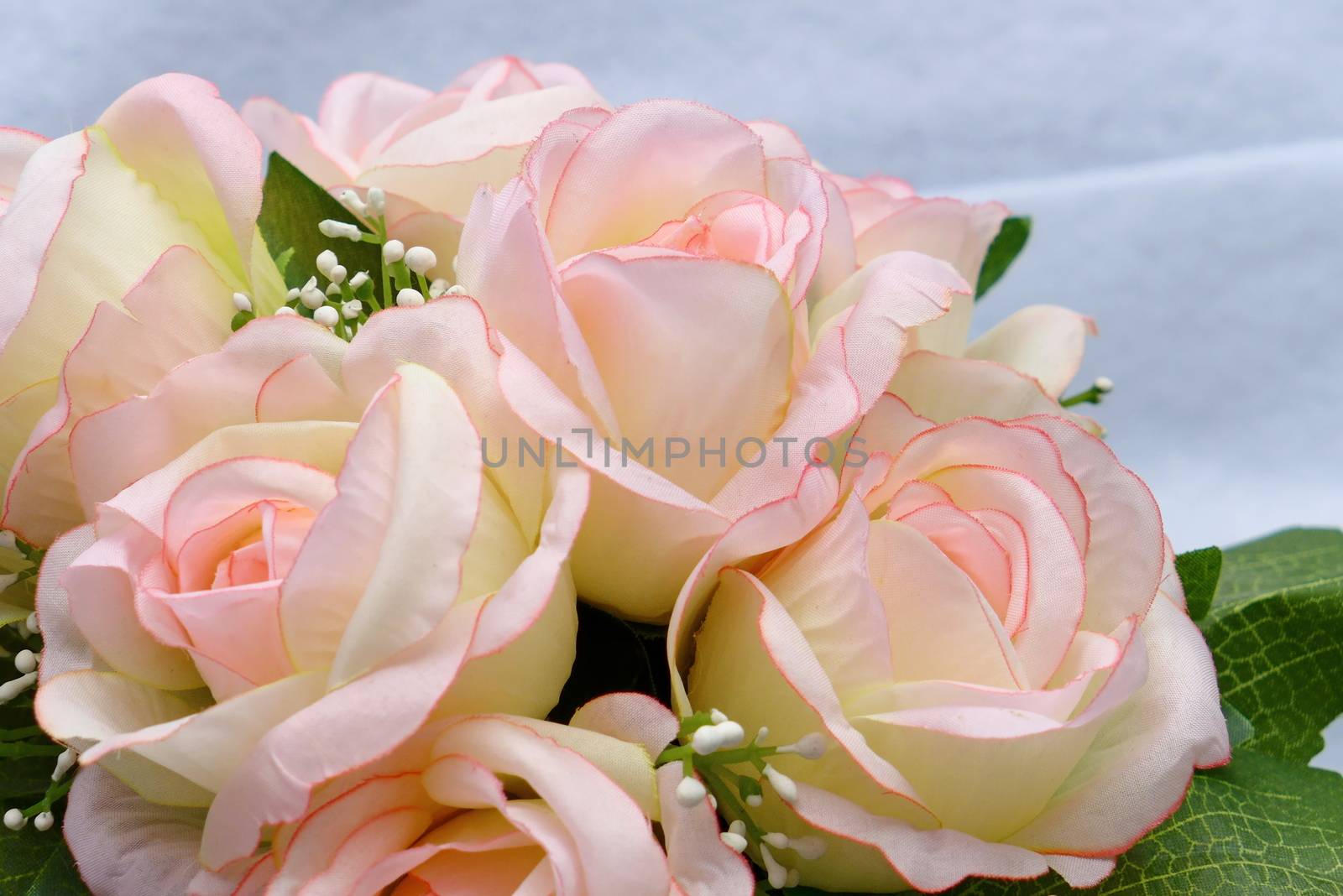 Pink artificia flower on white cloth background