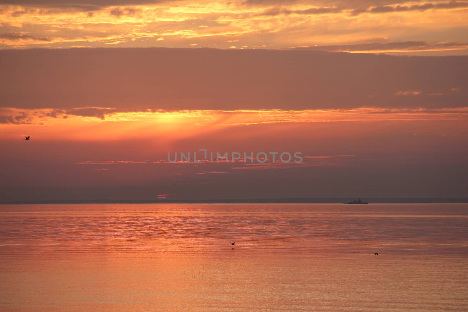sunrise on the Gulf of Finland. by olga_ovchinnikova