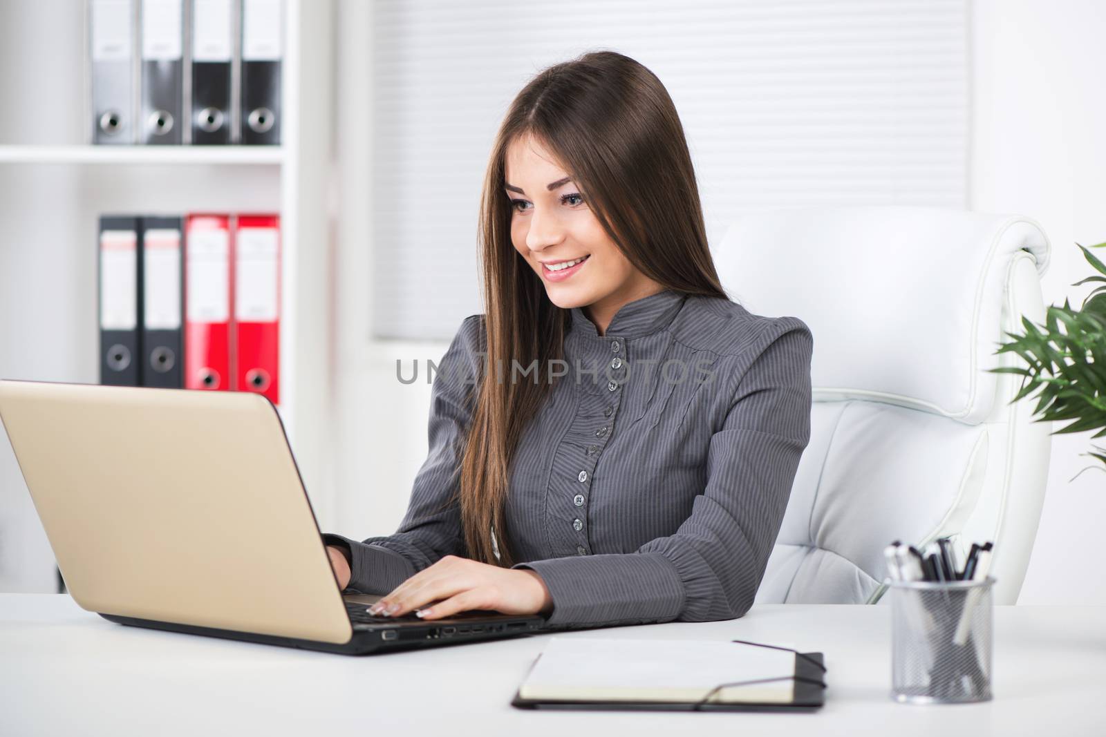 Young Beautiful Businesswoman in the office, sitting with laptop.