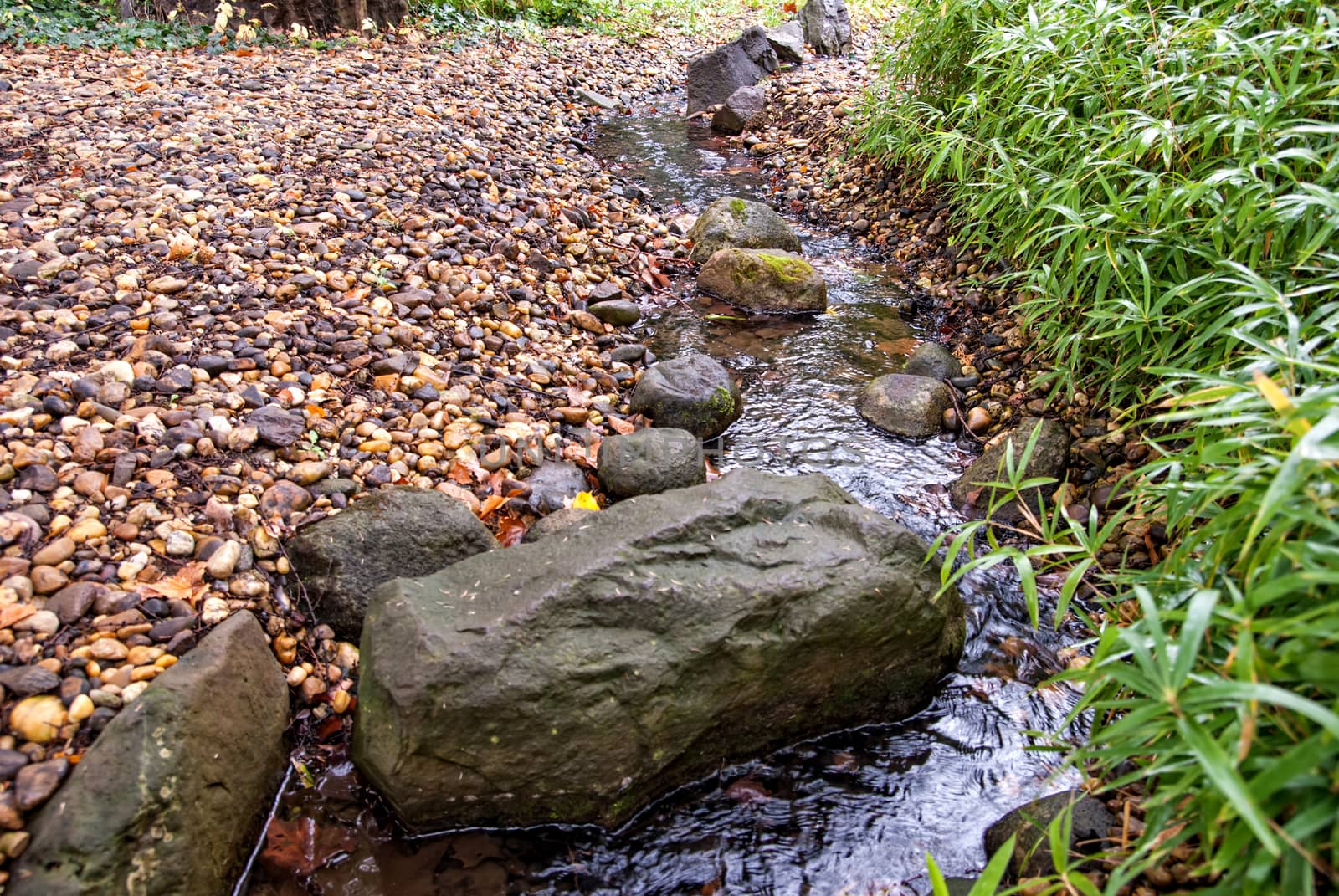 Summer landscape with a cold mountain stream.