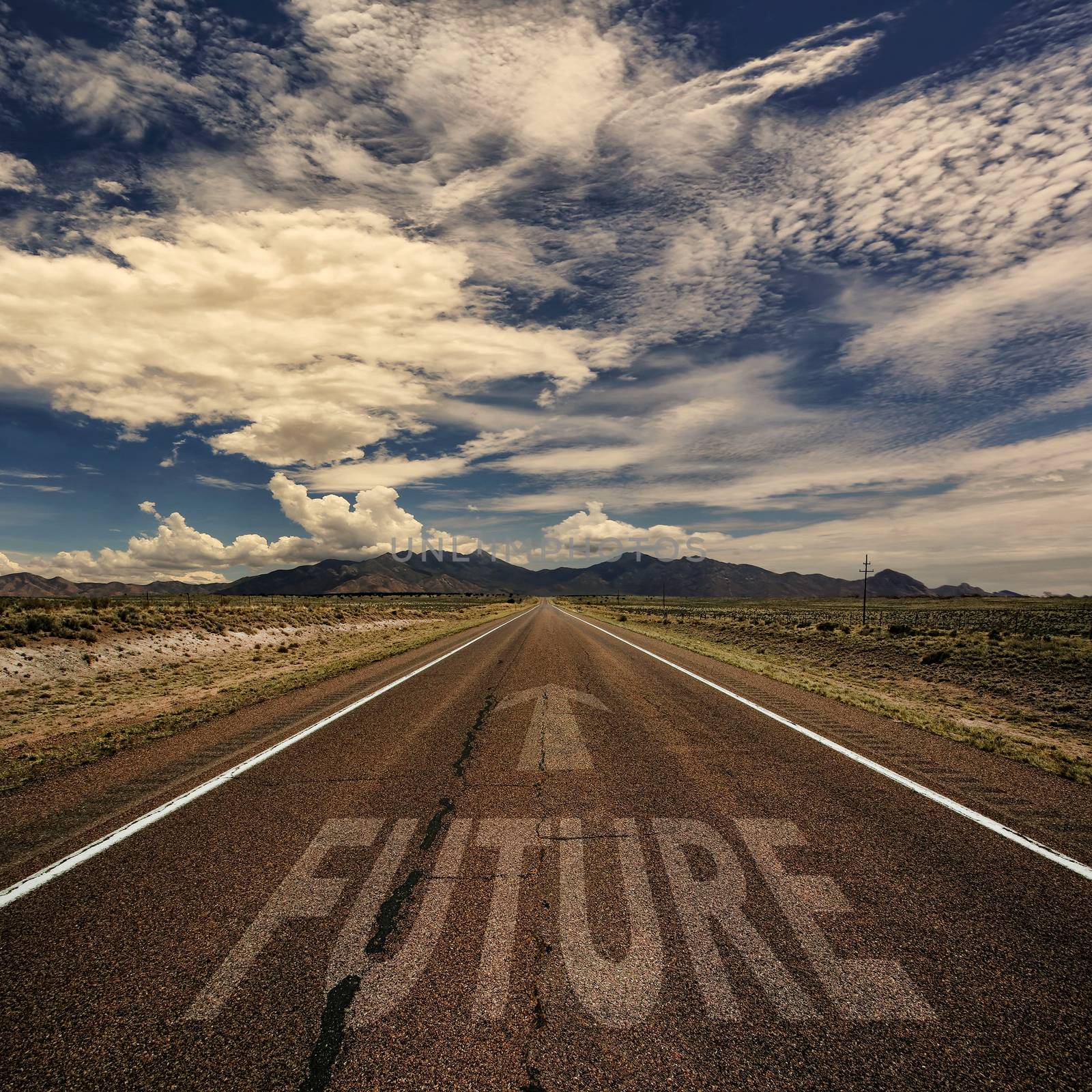 Conceptual image of desert road with the word future and arrow