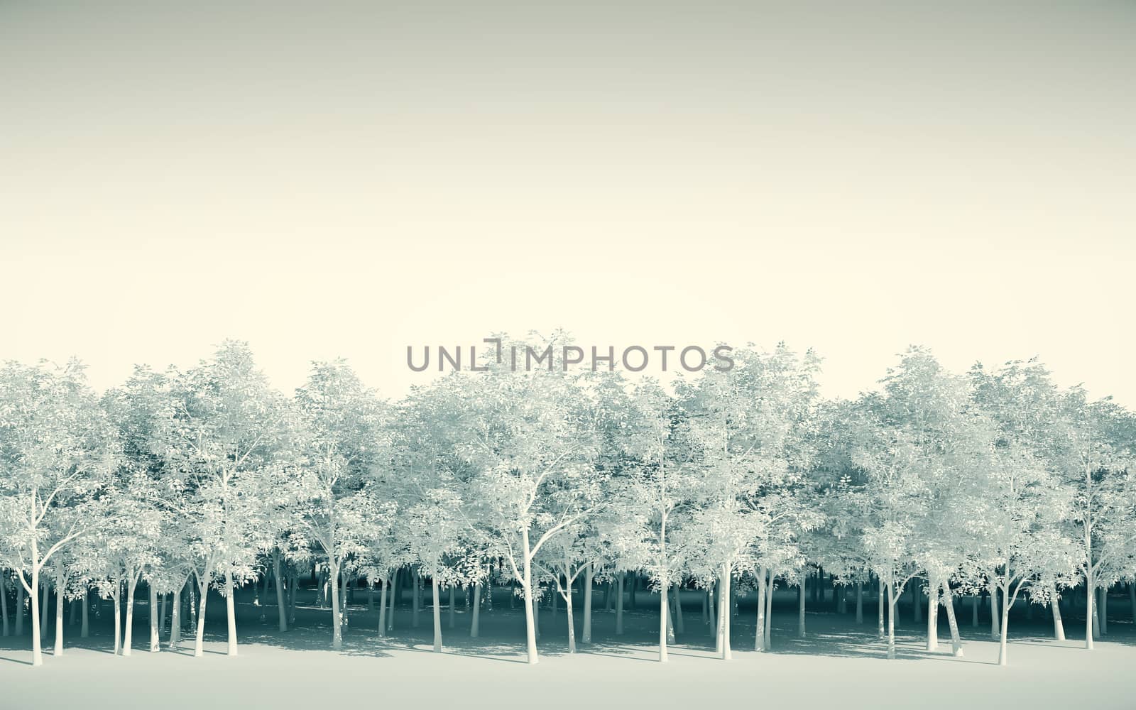 Forest white on white background, 3d Illustration by teerawit