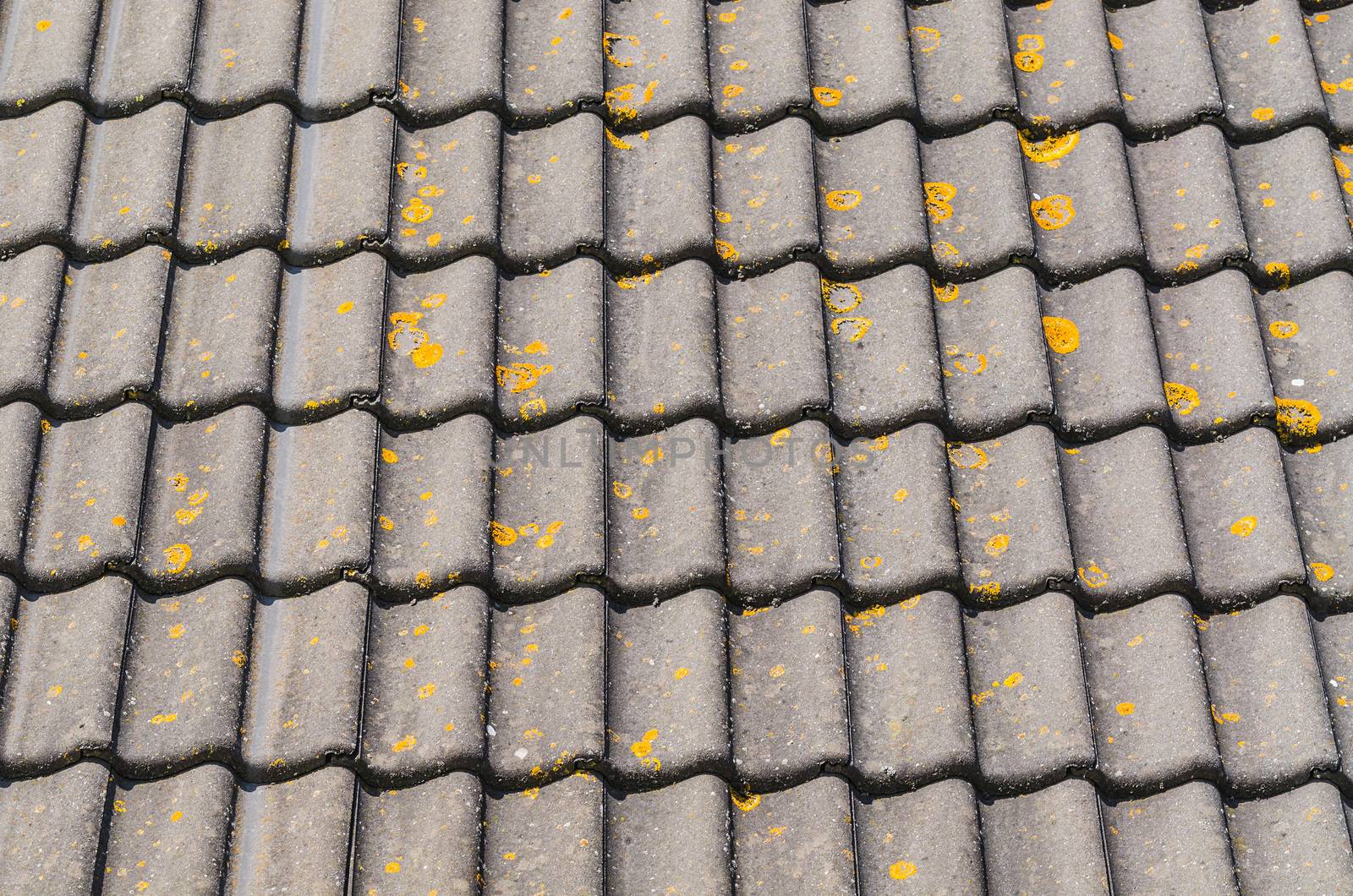 Detail some old house roof with mossy and weathered roof tiles.