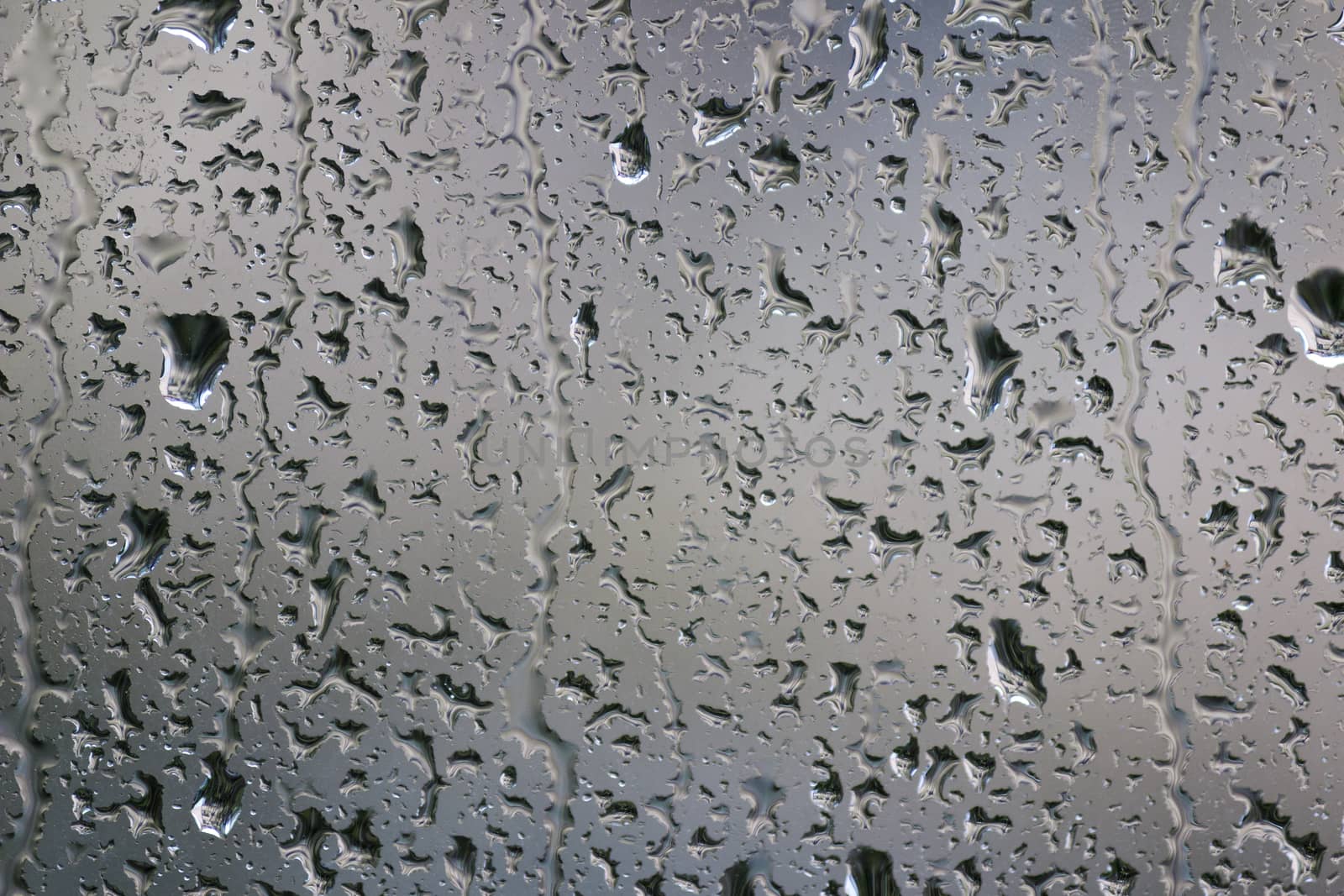 Close up-rain drops on a windows