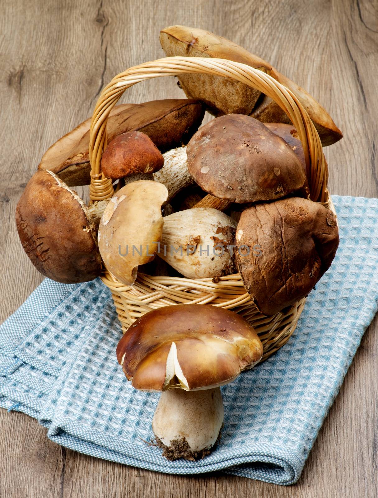 Heap of Fresh Ripe Porcini Mushrooms, Orange-Cap Boletus and Peppery Bolete in Wicker Basket closeup on Textured Wooden background