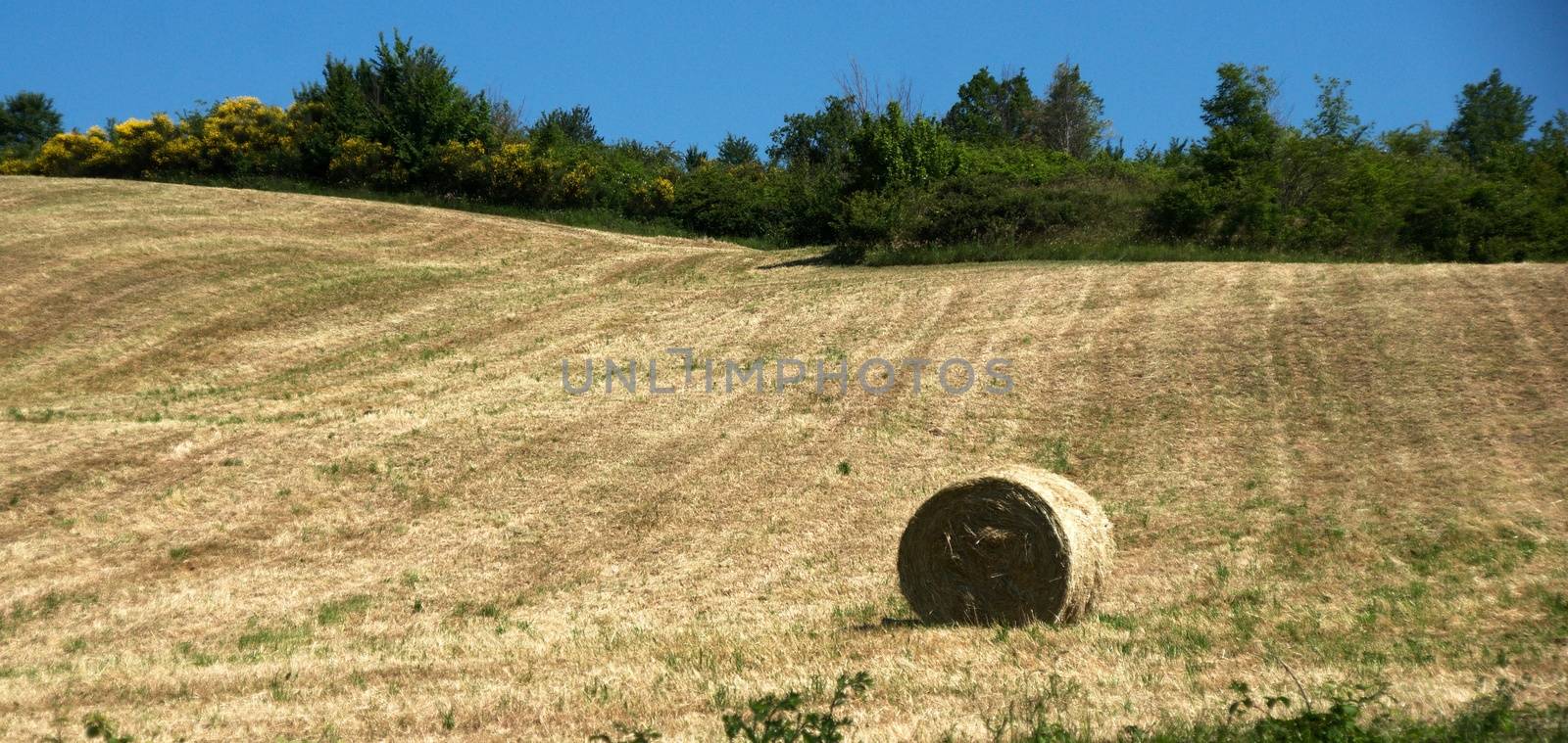 Vacation in rural area of Italy at summer